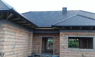 Megari Piotr Jacewicz